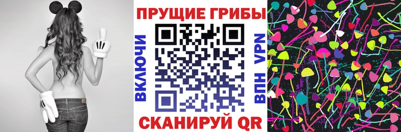 МЕГА онион  Пыталово  Галлюциногенные грибы Psilocybine cubensis 